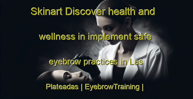 Skinart Discover health and wellness in implement safe eyebrow practices in Las Plateadas | EyebrowTraining | EyebrowClasses | SkinartTraining-Mexico